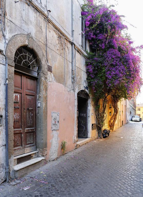Apartamento Trastevere Split Level Terrace - Collection